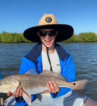 Redfish in Mosquito Lagoon, FL